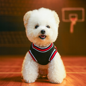 Summer <b>clothes</b> for dogs, Teddy vest, Bichon Frise summer <b>clothes</b>, small dog pets, Pomeranian, puppy, <b>cat</b>, breathable and - Product Image 2