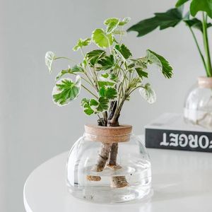 Vase <span class=keywords><strong>en</strong></span> verre borosilicate de haute qualité, résistant à la chaleur, <span class=keywords><strong>pot</strong></span> hydroponique avec couvercle <span class=keywords><strong>en</strong></span> liège pour la décoration intérieure et les cadeaux (vente <span class=keywords><strong>en</strong></span> gros) - Product Image 1