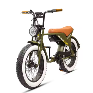 Bicicletta Elettrica TXED 20 Pollici 48V 250W con Motore Posteriore, Freno a Disco, Telaio in Lega e Pneumatici Fat - Product Image 1