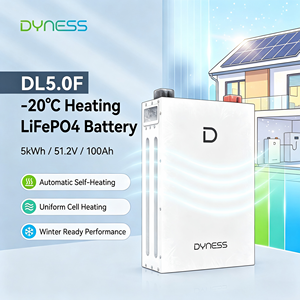 แบตเตอรี่เก็บพลังงานสำหรับบ้าน Dyness ขนาด5kWh แรงดันไฟฟ้า51.2V ความจุ100Ah เทคโนโลยี LiFePO4พร้อมระบบ BMS และ Wi‑Fi อายุการใช้งาน8,000รอบพลังงานแสงอาทิตย์สำหรับระบบอินเวอร์เตอร์แบบไฮบริด - Product Image 1