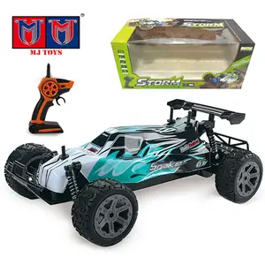 Personalizzato 1/14 2.4G radiocomando ad alta velocità Buggy Racing Car Rc Toy Rc Off Road Racing Car Toys