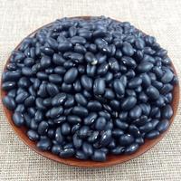 Offre Spéciale 500-550grains haricots Origine Chine Gros Haricots Noirs