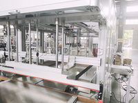 Machine d'emballage de sac/Bagger en plastique PP vide automatique à prix d'usine