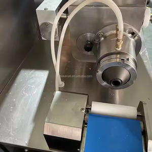 Gran oferta, máquina China para hacer Baozi, máquinas para Hacer bolas de masa hervida de sopa, máquina para hacer Xiao Long <span class=keywords><strong>Tang</strong></span> Bao para <span class=keywords><strong>restaurante</strong></span> - Product Image 3