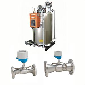 Débitmètre ultrasonique économique Endress+Hauser Proline Prosonic Flow E 100 E+H en acier inoxydable pour la mesure de la température - Product Image 2