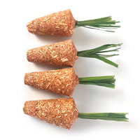 Bâtonnet à mâcher pour hamster, biscuit de dentition à la carotte, gâteau à base d'herbe comestible, jouet et friandise pour hamster djungarien et lapin, fournitures d'aménagement paysager