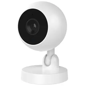 كاميرا IP لاسلكية ، IP ، صغيرة داخل المنزل CCTV ، رؤية ليلية كلب Pet