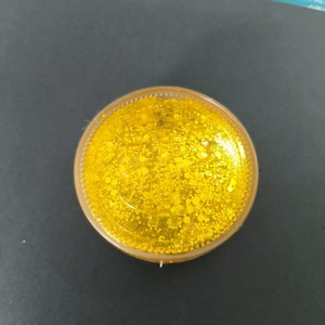 Jouet anti-stress souple en forme de grande pièce de monnaie dorée imitation maltose, design dollar - Product Image 6