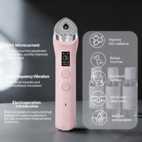 Masseur facial pour usage domestique, équipement de beauté, appareil de lifting du visage, nouvelle arrivée