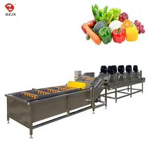 DZJX Vegetable And Cactus Fruit Date Ozone Washing Machine Cabbage Chips Potato Coconut Shell Bubble Water Cleaning Machine