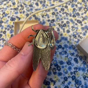 Collar con Colgante de Cigarra Grande con Medallón Secreto Oculto, Joyería Entomológica de Insectos - Product Image 6