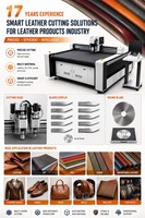 Oscillerende mes-snijmachine met hoge precisie, energiebesparend, automatische invoer, CNC-snijder voor de schoenen- en tassenindustrie