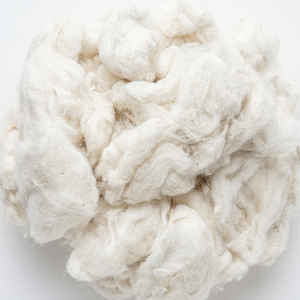 Marca NITHYA Modelo 2026 Algodón Crudo de Alta Calidad, Combedor, Noil, Lickerin Blanqueado, Hilado, Vietnam, Ecológico, Antibacteriano - Product Image 1