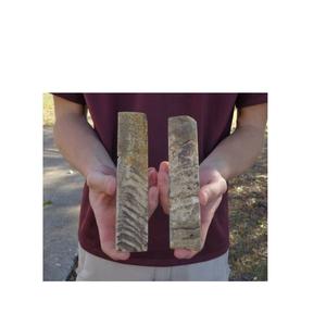 Plaque de corne de mouton unique pour manche de couteau avec produit de bonne qualité plaque de corne de mouton pour vente personnalisée - Product Image 3