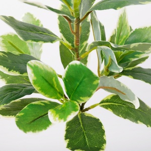 Plante artificielle Banian Doré avec feuilles en plastique changeantes de couleur pour la décoration de jardin et l'inventaire de vente en gros - Product Image 4