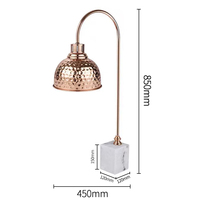 Lampu Pemanas Makanan Listrik Dapur Komersial, Penghangat Prasmanan Isolasi Termal 250W 220V/110V untuk Hotel Restoran