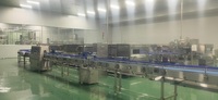Mango Ananas Sinaasappelsap Verwerkingslijn/Vruchtensap Productiemachine