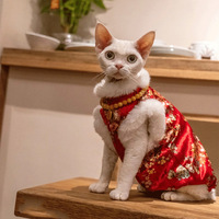 Vente chaude nouvel an festif chinois vent vêtements pour animaux de compagnie Sport Style Tang costume pour chats gilet princesse Style robe