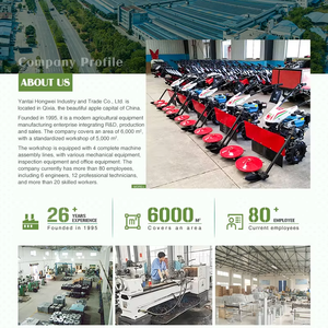 Équipe professionnelle d'expédition transfrontalière, petites tondeuses à gazon RC, <span class=keywords><strong>tondeuse</strong></span> à gazon télécommandée - Product Image 2