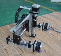 Sistema de Gantry de Movimiento Lineal con Husillo de Bolas Multieje, Plataforma de Posicionamiento XYZ, Robot Cartesiano