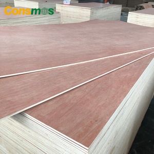 1220*2440mm 12mm 15mm 18mm impermeable WBP pegamento Sapele <span class=keywords><strong>Okoume</strong></span> Bintangor chapa madera contrachapada comercial tableros - Product Image 6