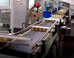 PVC/Polyester-Förderband verbindungs maschine für Verpackungs system