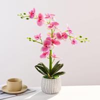Plante en pot d'orchidée Phalaenopsis artificielle au toucher réel, tige haute, fausse orchidée papillon, bonsaï