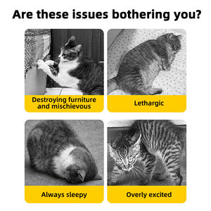 Akıllı Evcil Hayvan Spor Golf Egzersiz Oyuncak Topu Elektronik İnteraktif Elastik Silikon Gerçekçi Kuş Sesi Plastik Oyuncak - Product Image 6