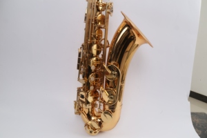 <span class=keywords><strong>Saxophone</strong></span> <span class=keywords><strong>Ténor</strong></span> 2026 en Promotion – Idéal pour Débutants et Étudiants - Product Image 5