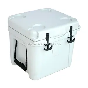 点燃果汁冷却器冰箱冰岛岛便携式冰柜盒