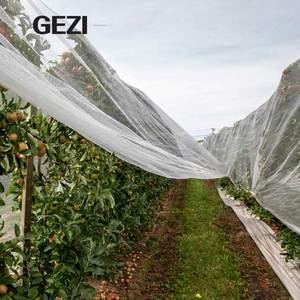 Red de Protección Contra Granizo para Viñedos, Transparente, Forma de Media Luna, Malla de 60g 80g para Granjas Vinícolas de Georgia - Product Image 3
