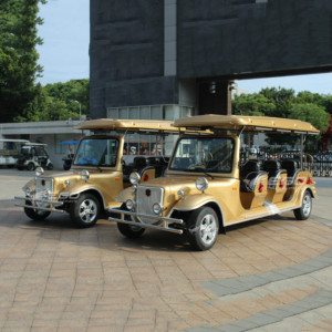 Buggy électrique classique bleu à trois rangées, 8 places, en acier, pour les loisirs, les visites en ville et les centres de villégiature - Vente chaude - Product Image 4