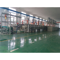 Machine de galvanisation au zinc de type rack avec commande PLC, fonctionnement automatique, capacité de 1000 pièces/jour