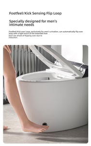 Vente en gros économique 110V/220V siphon en S/siphon en P <span class=keywords><strong>WC</strong></span> intelligent électrique <span class=keywords><strong>japonais</strong></span> avec bidet intégré et chasse d'eau automatique - Product Image 5