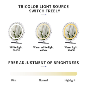 Miroir de maquillage LED à trois couleurs réglables, miroir de table de bureau, miroir de toilette clair - Product Image 3