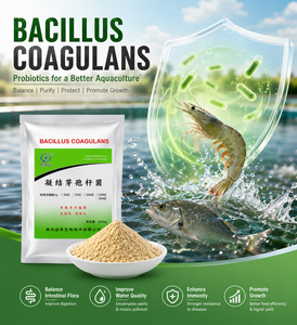 Suministro del Fabricante: Esporas de Bacillus Coagulans Termoestables 10B CFU/g, Aditivo Probiótico para Alimentos, Potenciador de Crecimiento Resistente <span class=keywords><strong>a</strong></span> la Peletización - Product Image 6