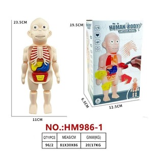Modelo de Órganos Humanos Educativo para Niños, Juguete de Ciencia y Tecnología, Ensamblaje DIY, Cognición Temprana, STEAM, Juguete Médico Interno - Product Image 5