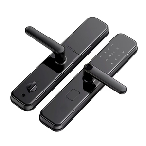 Serratura Intelligente Cloud in Lega di Zinco a Basso Prezzo con App Tuya/TTlock, Codice Biometrico e Impronta Digitale per Porte in Acciaio Inox - Product Image 2