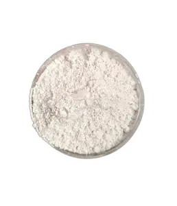 Hot selling Activity Heavy Calcium Carbonate powder High activity for PVC cable material Good Price for buyer