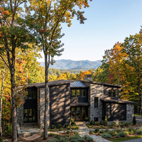 Revestimiento de Madera Shou Sugi Ban de MUMU DESIGN, Madera Natural Carbonizada con Ranura y Lengüeta, Revestimiento para Edificios Comerciales de Fábrica