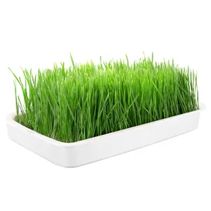J&C Professional Microgreen Trays Self Watering Microgreens Growing Kit Home Grow Reusable Plastic Flat Tray For Seed Vegetable
