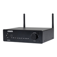 Çift kanallı ev ses sistemi Hi-Fi kablosuz Stereo güç amplifikatörü 100w