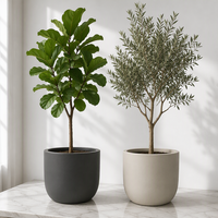 Grand pot de jardin moderne en fibre de verre et ciment, populaire pour la décoration, jardinières, vase de cour, vente en gros d'usine