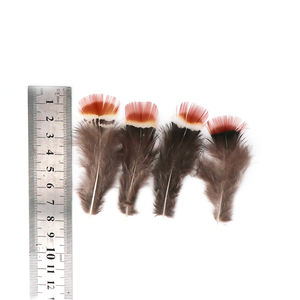 Piume di Fagiano Amherst Rosse Economiche all'Ingrosso, 5-10cm, Lavate con Motivi Decorativi per Artigianato e Cappelli - Product Image 2