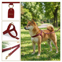 Ensemble laisse et collier pour chien en cuir personnalisé, accessoires en métal doré, collier pour chien en cuir synthétique/végétalien avec clous, noir, rose, rouge