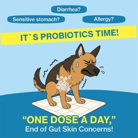 Supplément Probiotique pour Chiens en Gros (OEM/ODM) 450g – Ingrédients Personnalisés Sûrs pour la Santé Intestinale des Animaux – Pâte Nutritionnelle pour Tous
