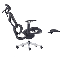 Chaise ergonomique pour la maison avec repose-pieds, soutien lombaire confortable et réglable, accoudoirs en aluminium