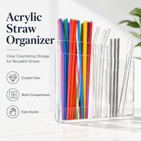 Organisateur de pailles en acrylique transparent, support de rangement, boîte de présentation avec couvercle anti-poussière, support mural moderne, porte-outils multifonction durable