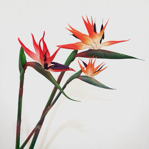 Fleur artificielle Oiseau de paradis à toucher réel, faite à la main, grande <span class=keywords><strong>Strelitzia</strong></span> artificielle pour hall d'hôtel, mariage et décoration paysagère - Product Image 1