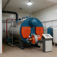 Chaudière à eau chaude au GPL et au diesel 0,35 MW à commande automatique avec échangeur de chaleur pour piscine d'hôtel